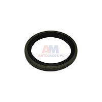 Шайба  D-24 (железная  с рез. уплотнением)