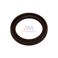 яяМанжета ТНВД Евро (45х60х7)        1111242-7406